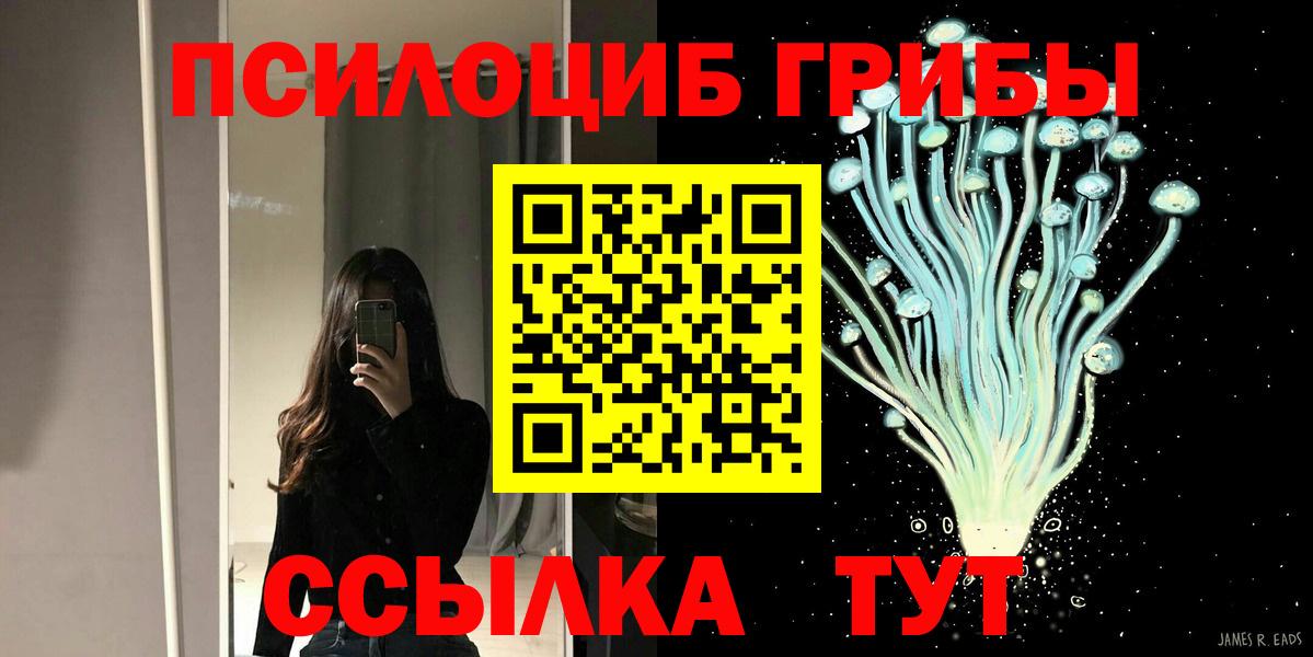 Галлюциногенные грибы прущие грибы Ессентуки