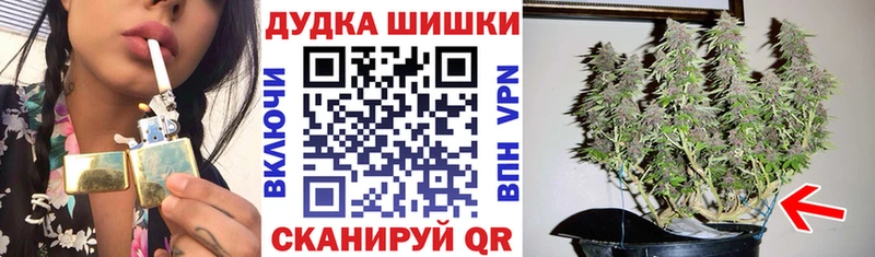 купить наркотик  Ессентуки  Бошки марихуана индика 